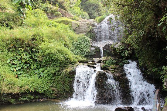 Barbotey Rock Garden